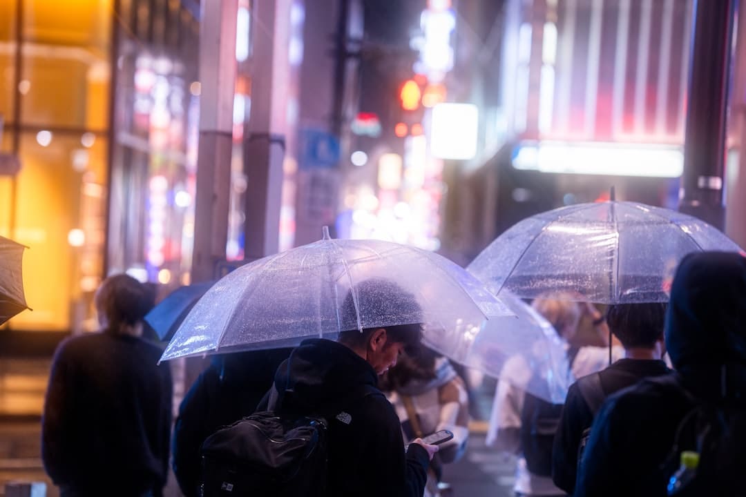 “谷底”里交出超预期的成绩，拼多多极力了